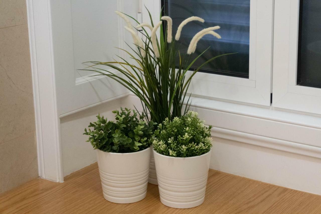Finest Rentals - Downtown Villa Funchal  Zewnętrze zdjęcie